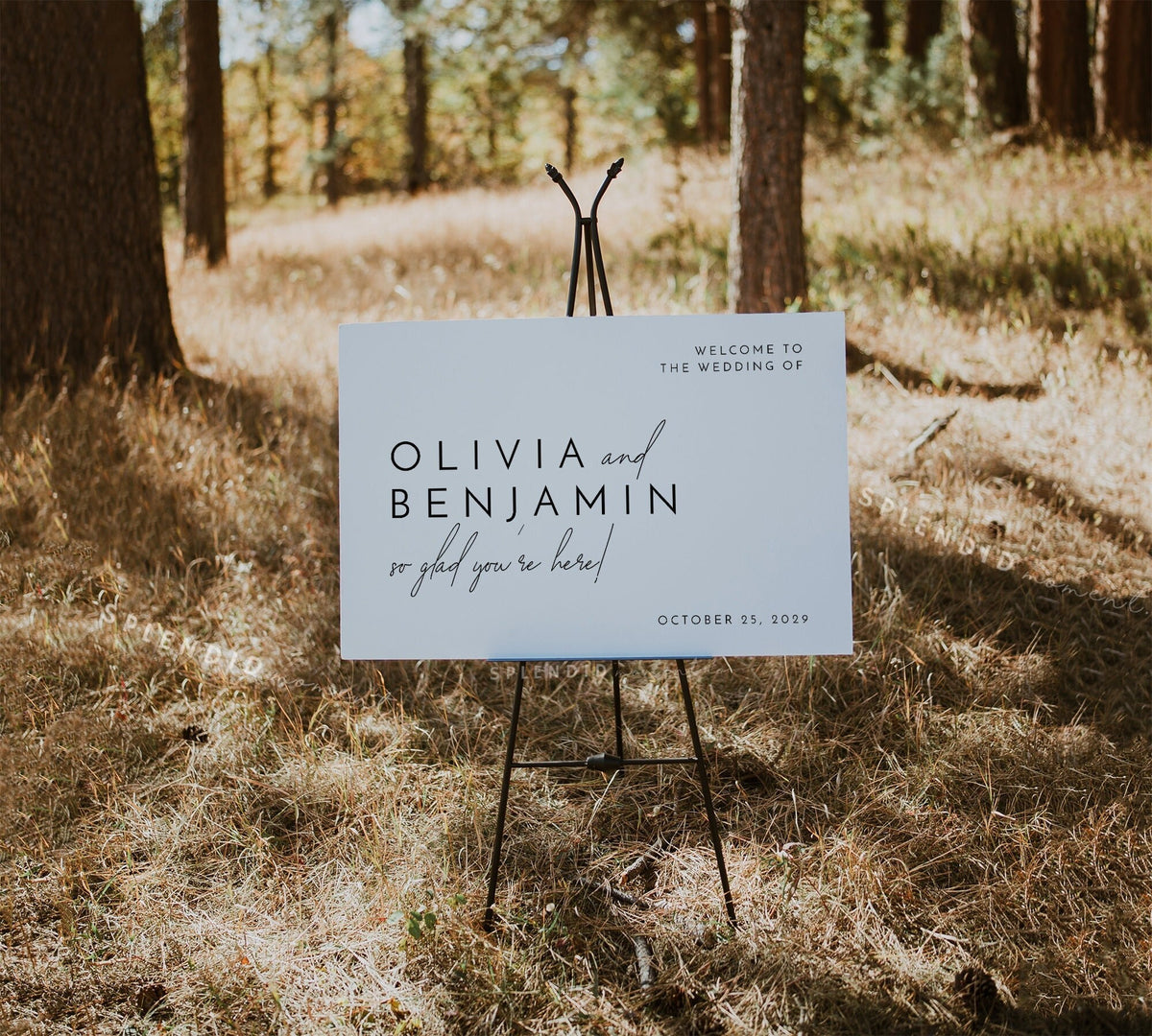 Minimalist Welcome Sign Template, Elegant Wedding Welcome Sign, Horizo ...